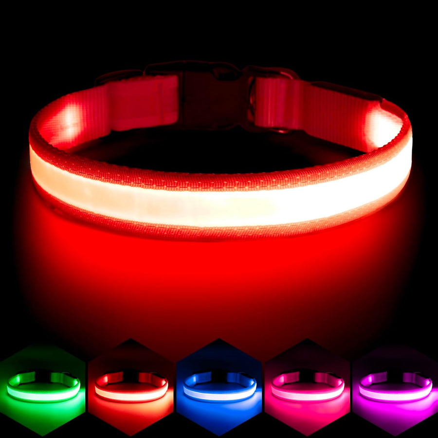 LED Dog Collar - Adjustable USB Rechargeable Super Bright Safety Light for Medium Dogs (Red)