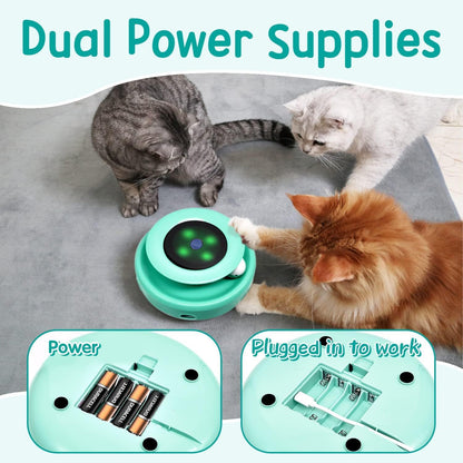 2-In-1 Interactive Cat Toy Set for Indoor Cats - Automatic Toy Balls and Feather Mice with 7 Attachments, Dual Power Supply, Adjustable Speed, Auto On/Off Feature