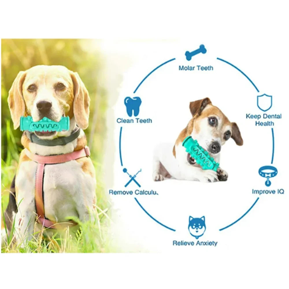 Indestructible Super Chew Dog Toys, Squeaky, Natural Rubber(Blue)