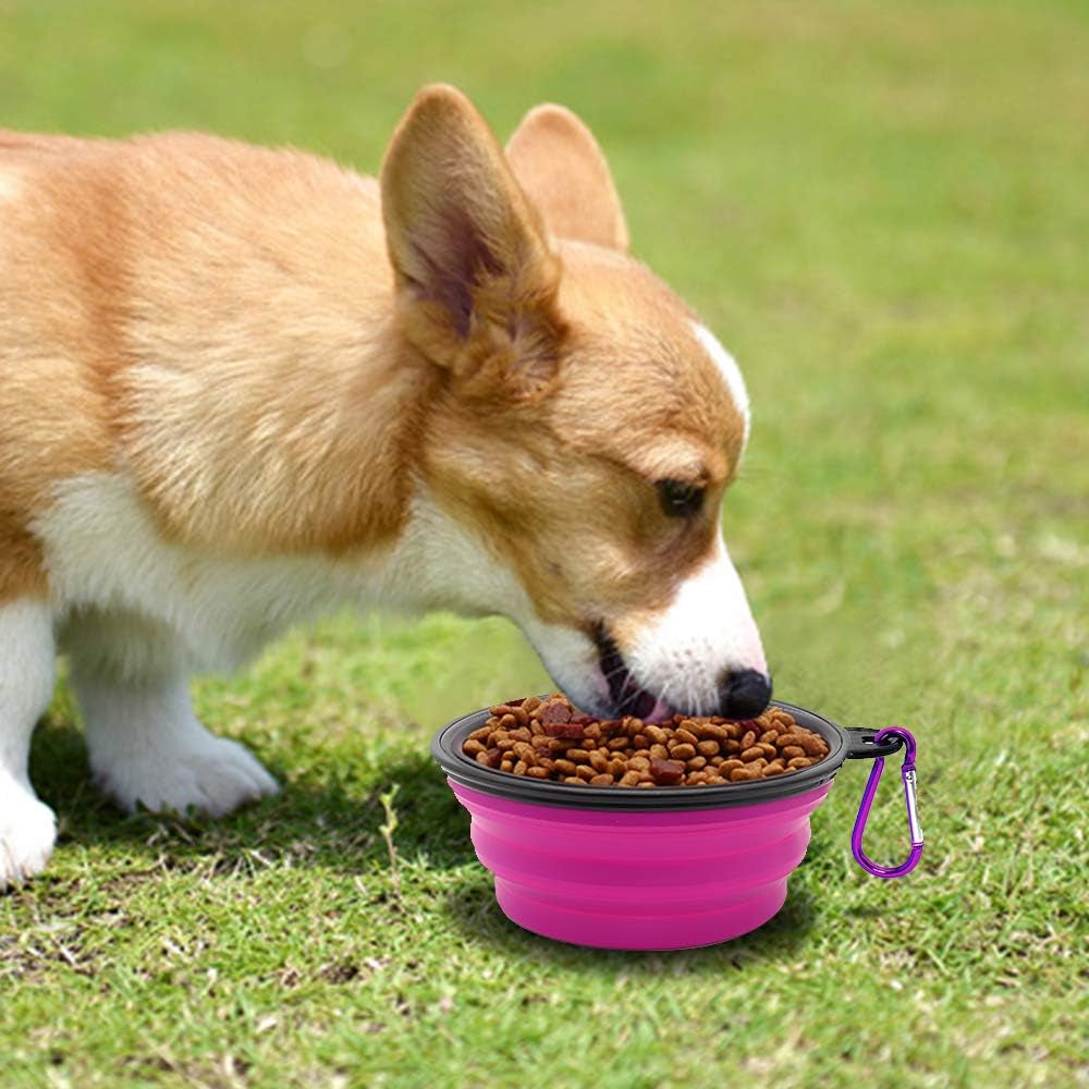 Collapsible Dog and Cat Bowls - 2 Pack Portable Pet Feeding and Watering Dishes with Carabiners (Small, Green and Purple)