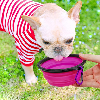 Collapsible Dog and Cat Bowls - 2 Pack Portable Pet Feeding and Watering Dishes with Carabiners (Small, Green and Purple)