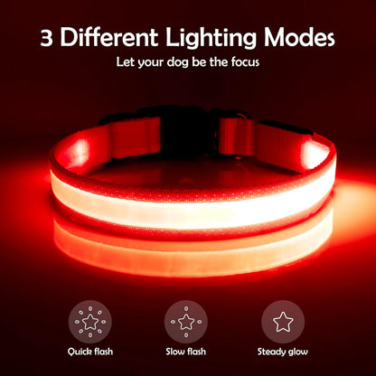 LED Dog Collar - Adjustable USB Rechargeable Super Bright Safety Light for Medium Dogs (Red)
