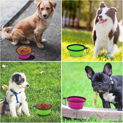 Collapsible Dog and Cat Bowls - 2 Pack Portable Pet Feeding and Watering Dishes with Carabiners (Small, Green and Purple)